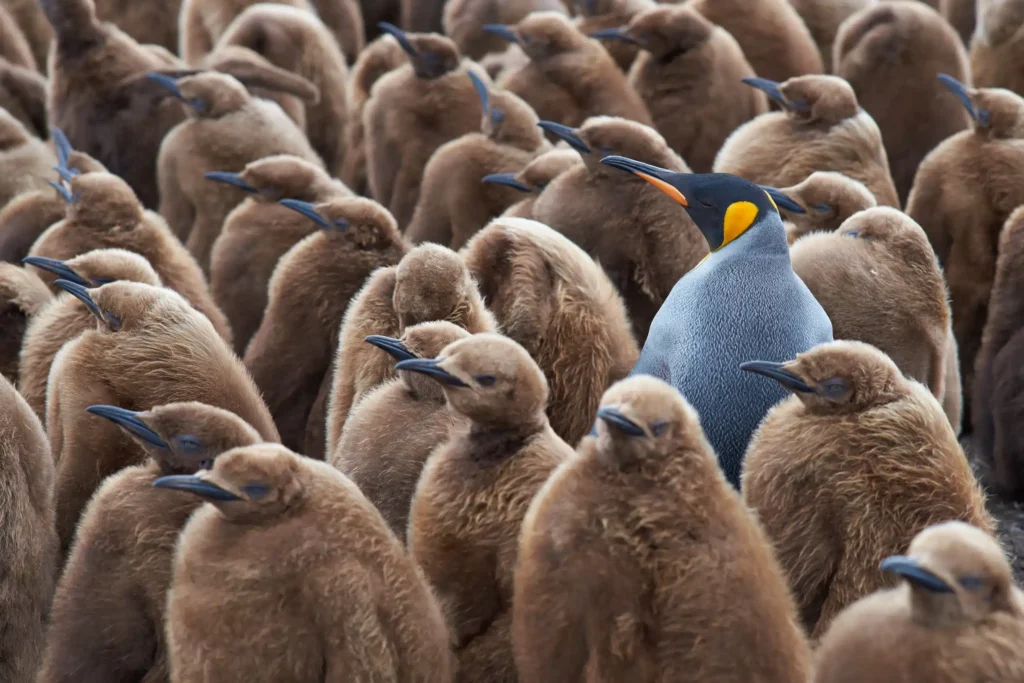 Personal branding growth
