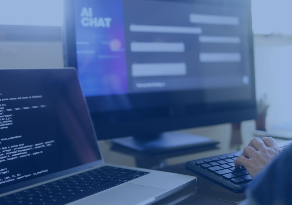Website development