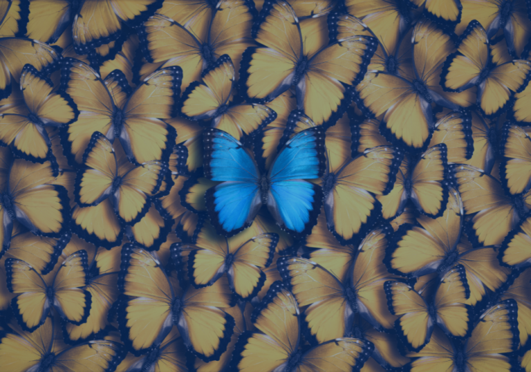 Branding butterfly