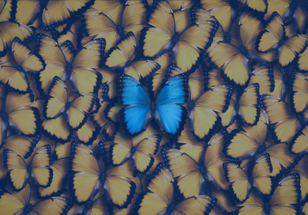 Branding butterfly