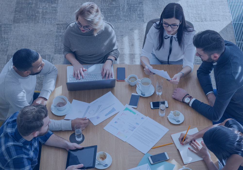 Marketing team